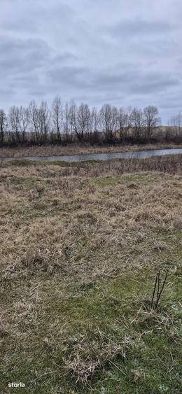 Teren extravilan plus luciu de apa - 4