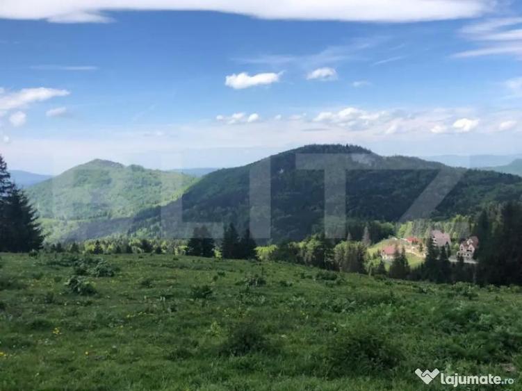 De vanzare, teren intravilan 5.500mp, Predeal - 6