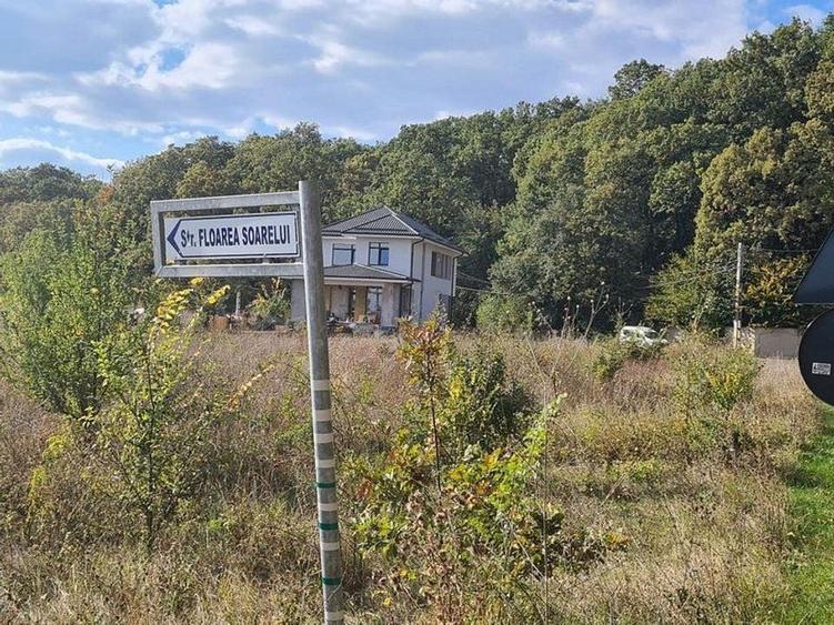 Corbeanca Padure 721 mp - 1