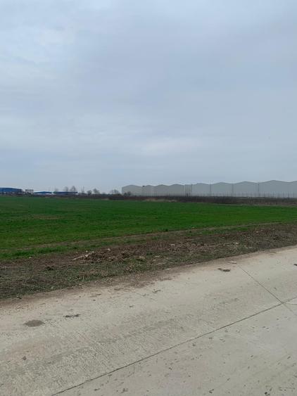 Afumati DJ 200 Teren extravilan - 3