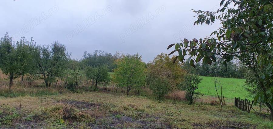 Casa, grajd, gradina plus dependinte - 2