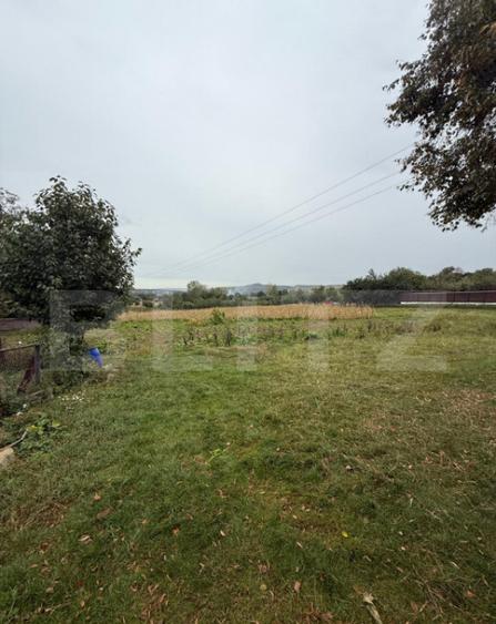 Casa batraneasca, 65 mp si teren intravilan 5600 mp, Adancat - 7