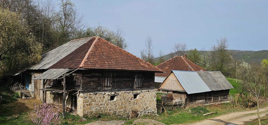 Vand casa cu gradina + padure + teren arabil - 3