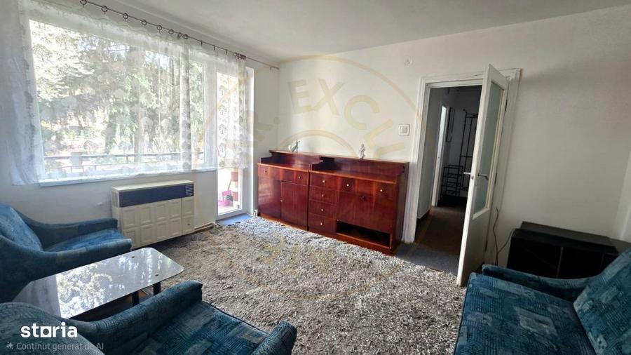 Chirie 2 Camere Satu Mare Central - 5