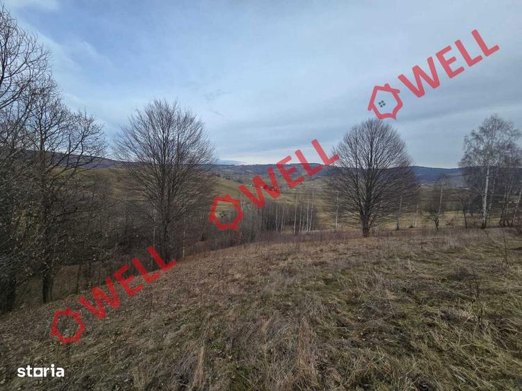 Teren extravilan de vanzare in Sarama?, pe punctul de numit ,,PARAIE,, - 6