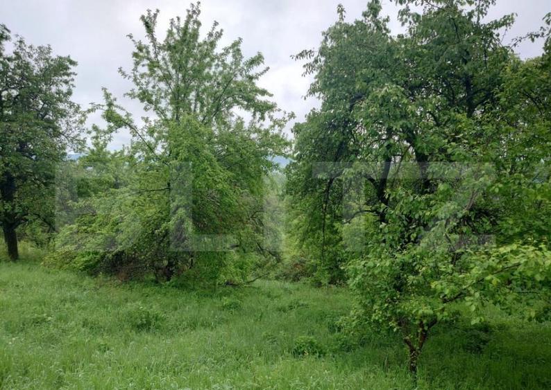 Teren intravilan Cucuteni - 3