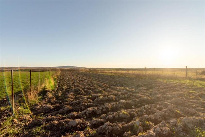 RECO Casa 3 camere, Alparea - 11