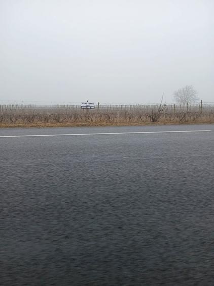 Vand teren la soseaua nationala E85 Dumbraveni - 3