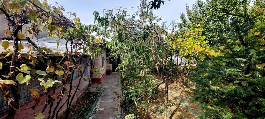 Proprietar casa individuala Bucurestii Noi-Aeromodelului- FARA AGENTII - 10