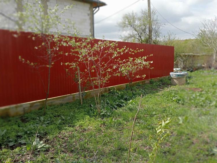 Teren 450/900cu utilitati si casa DN1 Ciolpani URGENT - 4