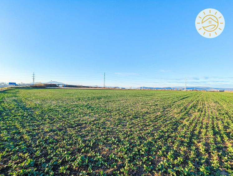 Teren intravilan 22800mp la 2km de Parcul Industrial Prejmer - 5