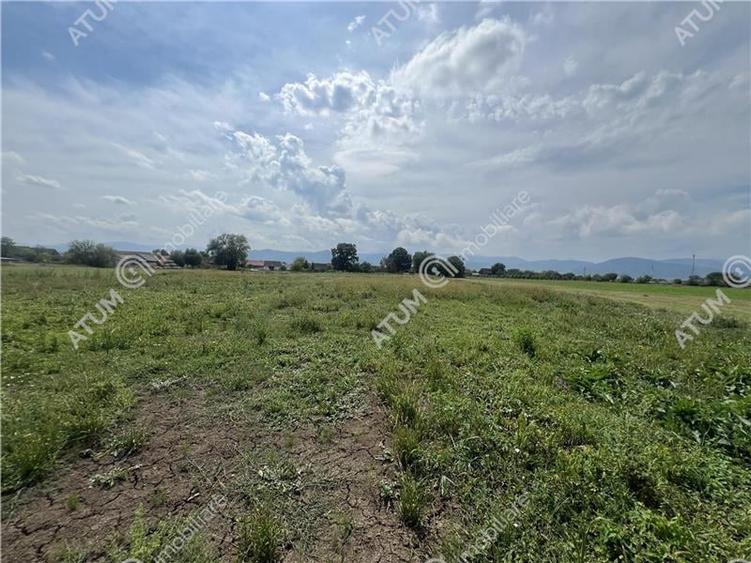 Teren intravilan de 8600 mp cu deschidere la doua drumuri in Cristian - 3