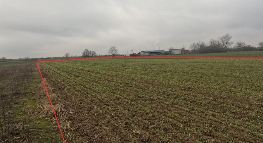 Teren extravilan de vânzare -  Giroc, jud. Timiș (în spatele complexului Flonta) - 5