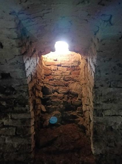 Conac apartinand lui Cicio POP, judet ARAD - 9