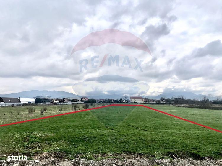 COMISION 0% | Teren intravilan | 3545 MP | Oportunitate de investitie - 4