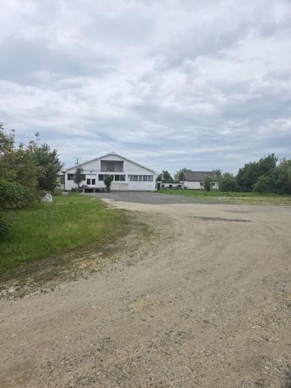 Teren cu hale de vanzare sau inchiriere ideal  investitie - Medies - 1