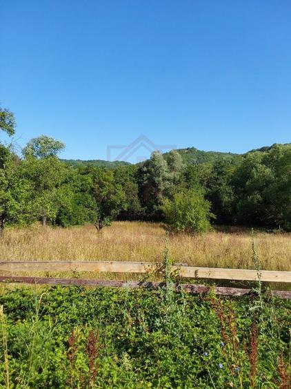 TEREN INTRAVILAN ZĂVOI\ZONA VALEA BISTREI, JUD.C-S - 4