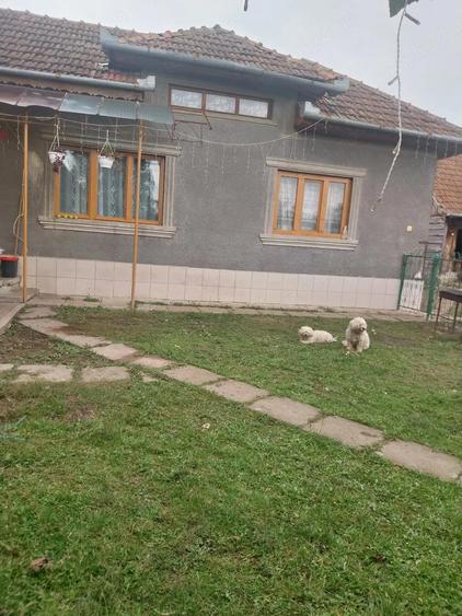 casa de vinzare sat Tohesti com Halmagel jud Arad - 2