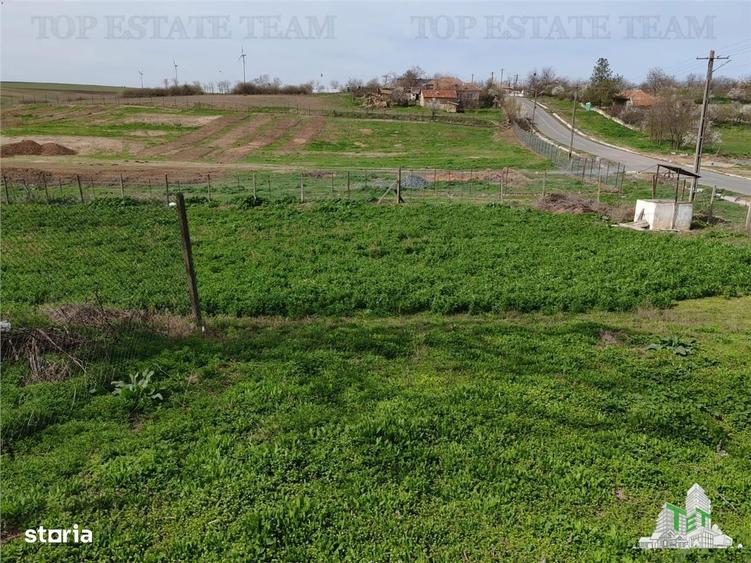 Teren intravilan cu utilitati 4350 mp Pantelimon Jud Constanta - 6