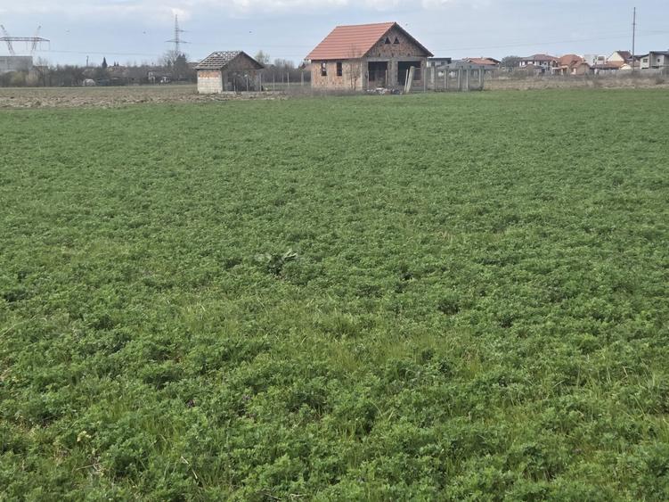 Vand teren extravilan la capatul strazii Aleco Russo in spate la noul CBA - 7