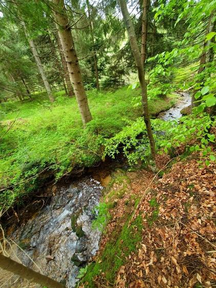 Casă de vacanță spațioasă în Călățele Pădure – Dealul Negru, teren 2000 mp - 3