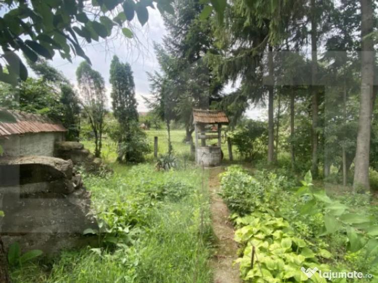 Casa tradi?ionala cu teren generos Belin - 12