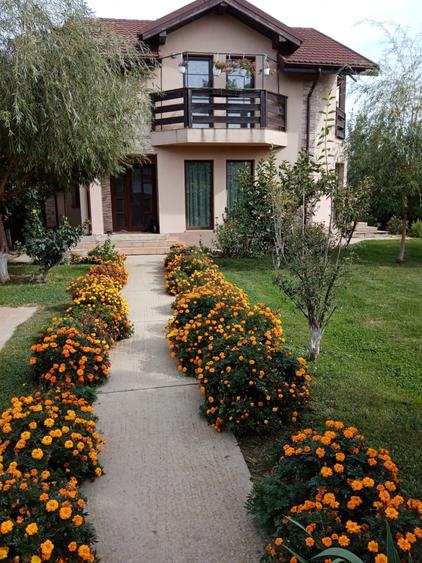 Casă de vânzare Domnești Teghes – proprietate individuală, zonă verde - 1