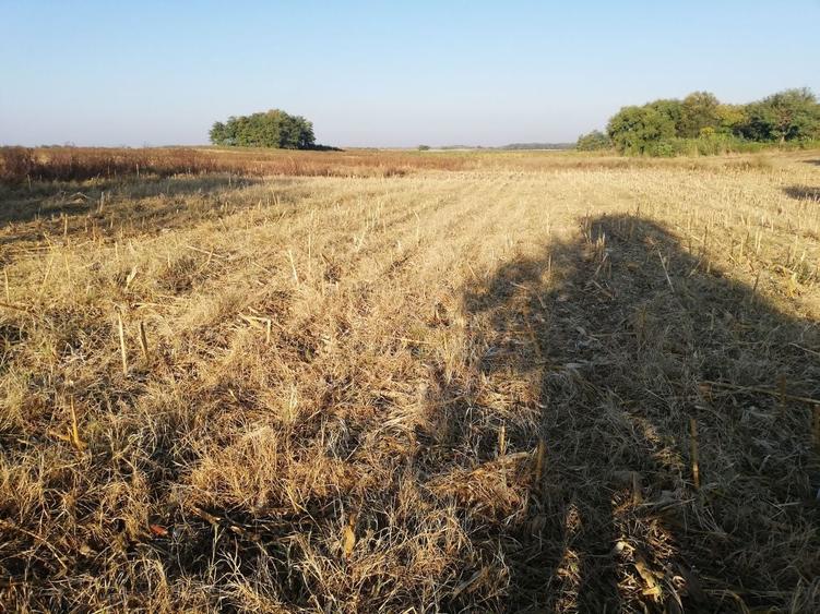 Teren extravilan (agricol Arabil) - 4