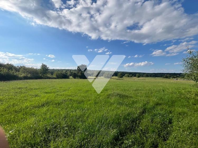 Teren intravilan constructii 6668 mp - Rasinari, Sibiu - 5