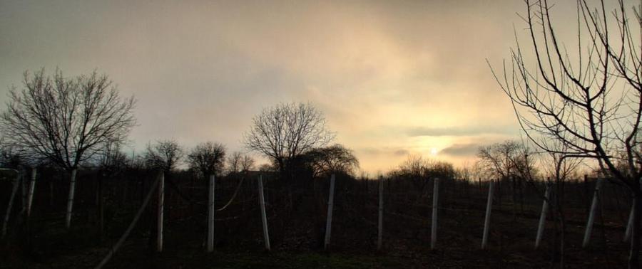 Casa spa?ioasa cu teren generos Valea Calugareasca - 5