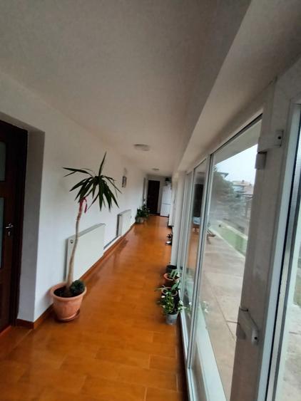 Tancabesti, Snagov, Ilfov - 11