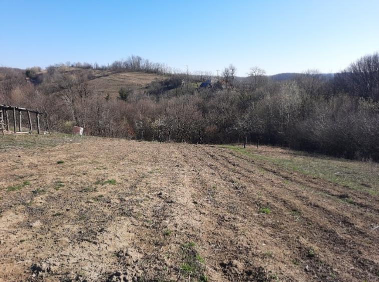 Vand casa la padure - 7