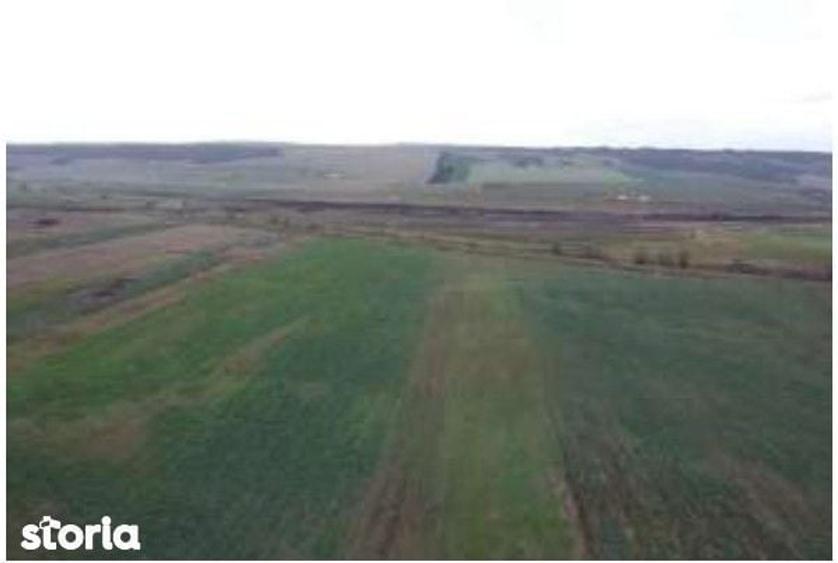 Teren Albesti, Vaslui, ID: R2893960 - 2