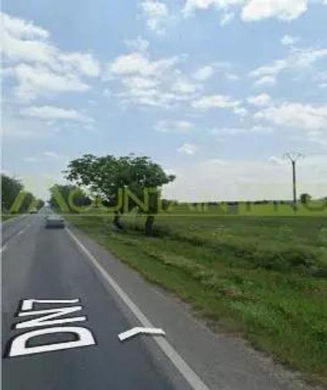 Nadlac, 29300 mp teren, de vanzare, negociabil - 5