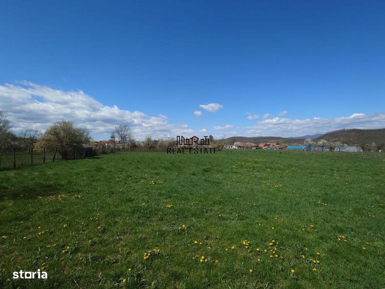 Casa si teren Baia de Cris - 12