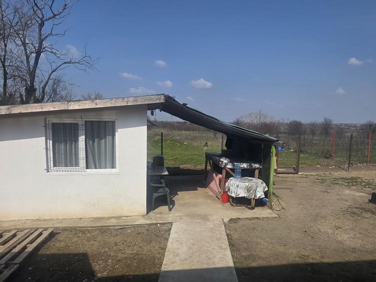 Casa de vanzare, Crevenicu Teleorman - 4