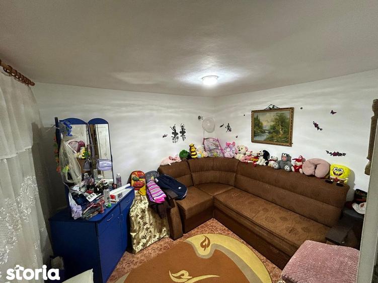 Casa 4 camere zona Plantelor - 11