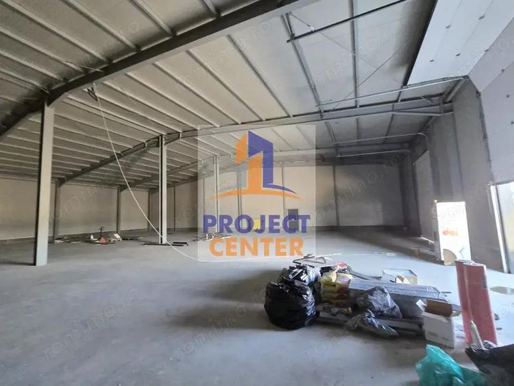 Hala depozitare, suprafa?a = 720 mp, Albota- zona Papillon - 9