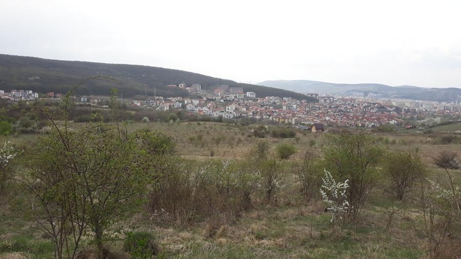 Teren 2533 mp, Cluj-Napoca, Zona Fanata - 4