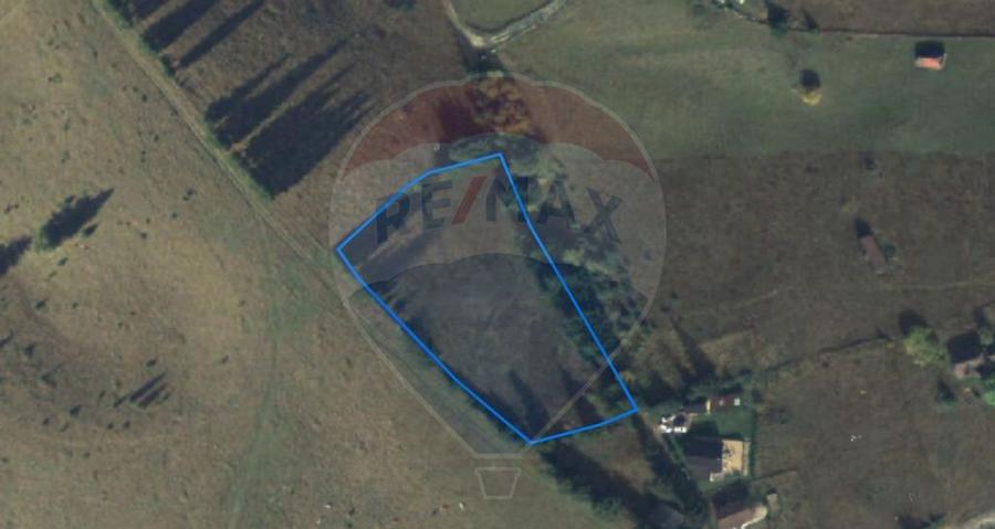 Priveliste minunata spre Bugeci, Magura,Piatra Craiului ... - 4