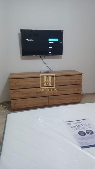 Apartament 1 camera Dec 40 mp. Bucium 300 euro - 1