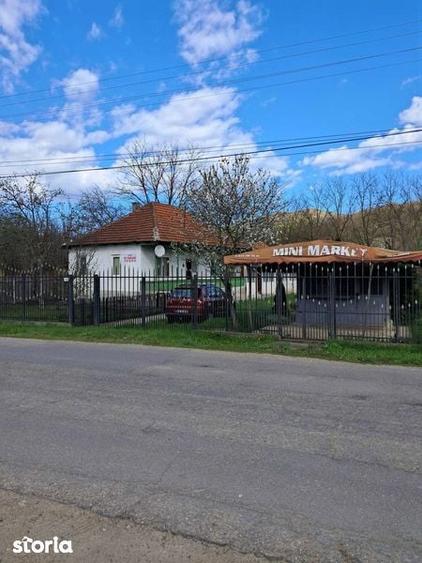 Vand Casa Complet Mobilata cu Teren 3996mp Sat Policiori Judetul Buzau - 3