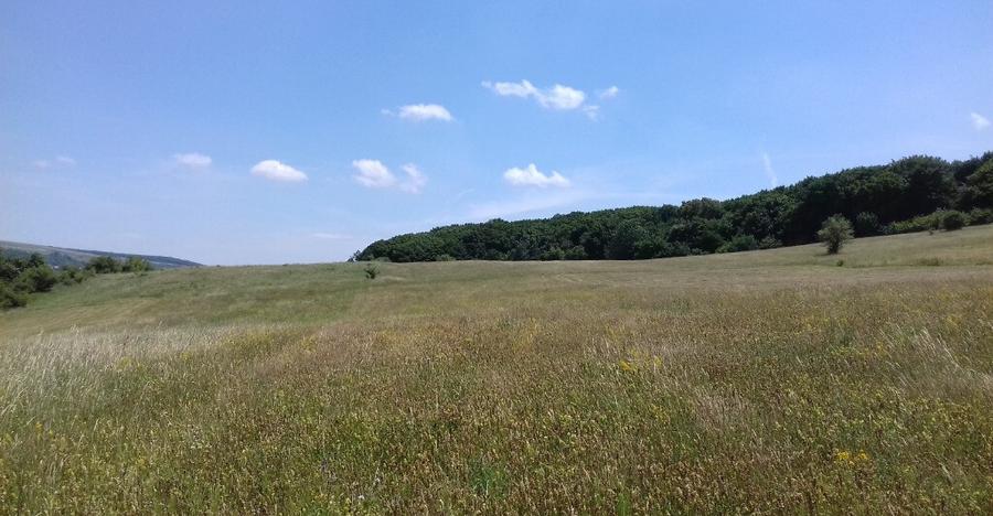 Vand teren intre Popesti si Corusu(jud. Cluj),in apropierea padurii - 9