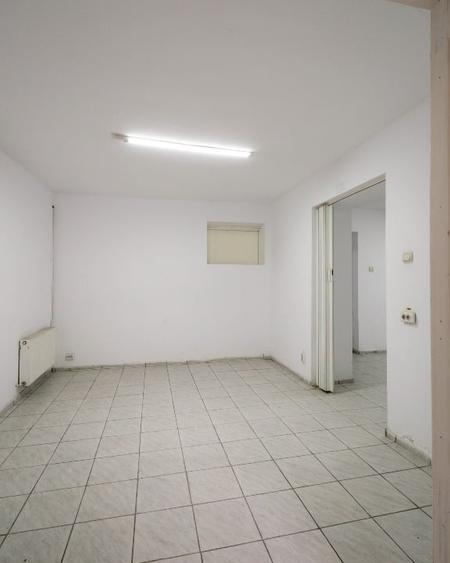 Demisol inalt 115 mp, 5 camere, 2 intrari  -  Parcul Carol / ideal investitie - 5