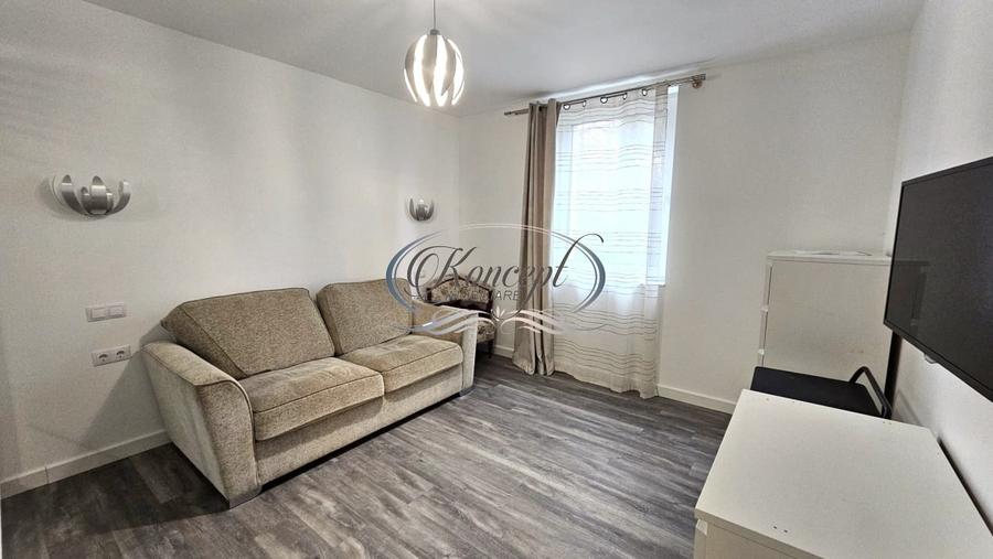 Casa individuala, la cheie in Dambul Rotund - 17