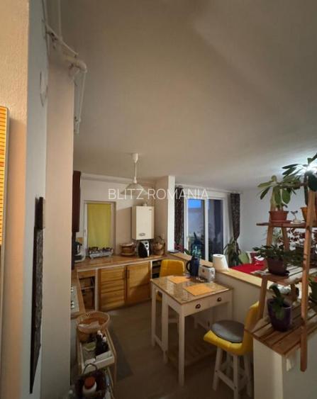 Apartament cu 3 camere/vedere superba catre Mun?ii Igni?