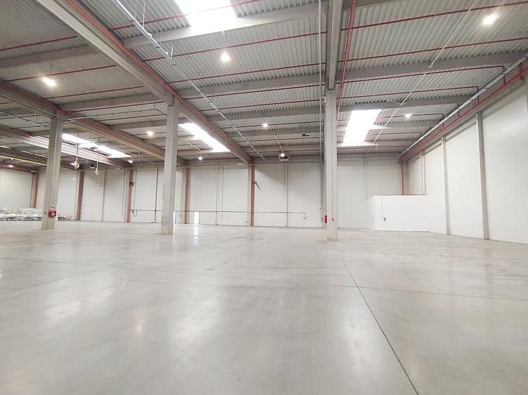 Hala productie depozitare sau logistica - 5