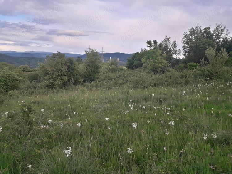 Teren Resita 4350 mp centura Resitei Terova-km 8 negociabil - 5