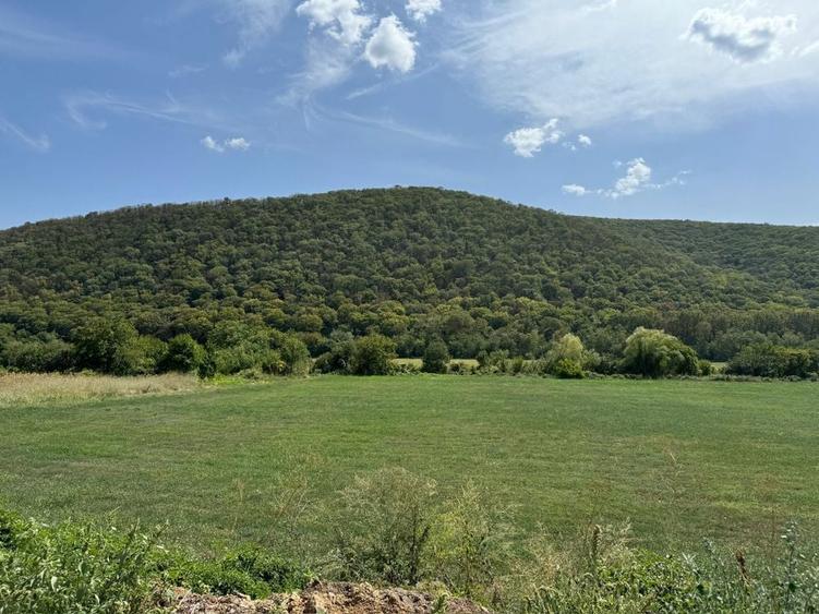 Teren in Slava Cercheza jud Tulcea 1000mp, situat langa padure - 8