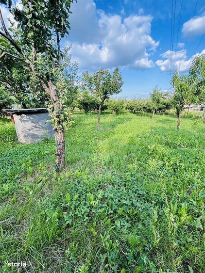 Vila Cu 14 Camere Si 3405 Mp Teren In Sanmartin - 2